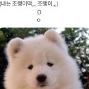 라온수산 이미지