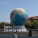 메트로호텔앤컴패니 | 도쿄 5박 6일 자유여행 경비 총정리 | 디즈니씨·메트로패스·돈키호테 쇼핑 포함 💸