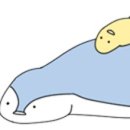 아띠아띠 네이버블로그