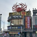 대포항 | 속초 대포항맛집 추천 머구리횟집 모듬회 후기 주차 예약 정보