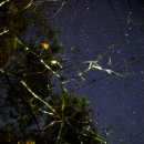 별그리고펜션 이미지