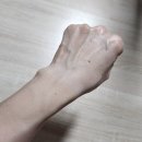 메이크업베이스 선크림 톤업 선크림 추천 디에이치 화장품(deh) _ 디에이치 리커버리 톤업 선스크린