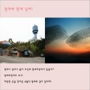 2018 군산새만금국제마라톤대회 코스 및 참가 안내 이미지