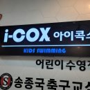 I-COX(아이콕스) 티스토리