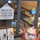 고현제2세천 | 거제 일식 맛집 추천 고현 강남스시 스페셜 오마카세 5만원 코스 후기