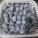 정성고기&과일포유 이미지