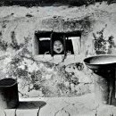 뮤지엄 한미 이미지