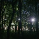유곡테니스장 | 2026.04.16.목.입화산 야간등산후기