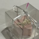 마인펜션 | 2025년 잘가고. (새해맞이 여행, 안면도 여행, 홍프로네 수산시장,갤러리펜션, 안면도수산시장,)