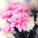 동광로19길 10-3 이미지