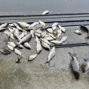 성호낚시터 이미지