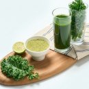 3050 직장인 주부 필독! 아침 주스용 '채소의 여왕' 컬리케일 스마트팜 직송 후기 🥬