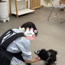 멍티움 이미지