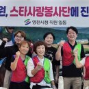 영천시청 이미지