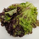 더피쉬 | 🐟 화성 남양읍 횟집 포장 후기 — 더피쉬 내돈내산