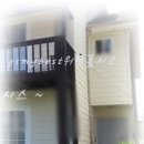 팽성대교길 이미지