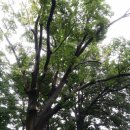 대전2리 마을회관 이미지