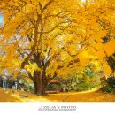 하곡마을 이미지