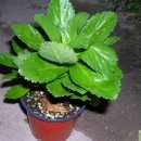 병국농장 이미지