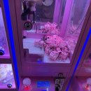 TOP 인형뽑기 이미지