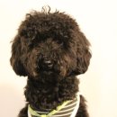 제로미카페 이미지