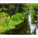 원천공원 이미지