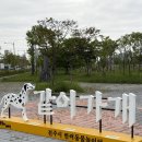반려동물놀이터 | 전주 같이가개 반려동물 무료 놀이터 방문 후기