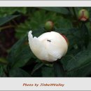 진부리유원지 이미지