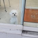 배스킨라빈스31전남 이미지