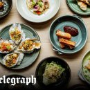 PUPPY HILL'S 이미지