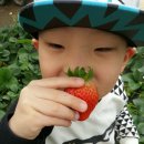 우후농장 이미지