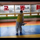 엘리트 태권도 점프 윙스 줄넘기 클럽 이미지