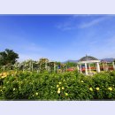 곡성-074 이미지