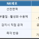 순도 이미지
