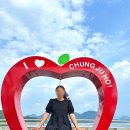 (주)충주호크루즈 | 충주 여행지 충주호크루즈 혼자여도 힐링 가능 추천