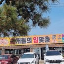 조개들의 입맞춤