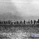 북로농장 이미지