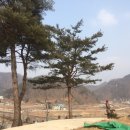 영경농장 이미지