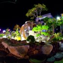 단양축협 앞 이미지