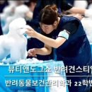 뷰티 앤 도그쇼 이미지