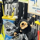 효자공원봉안당 | 요듬 일상🍀