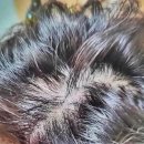 참빛의원 이미지