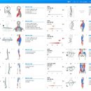 3세트짐 체형교정센터 이미지