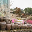 광양매화문화관 | 광양 여행 실내 가볼만한곳 매화와 매실 이야기가 담긴 매화문화관