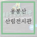 용봉산 산림전시관 다녀왔어요!