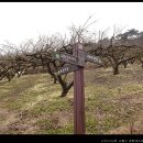 교룡산 둘레길 이미지