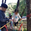 꿈이자라는땅 이미지