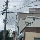 [남해 베이커리 추천] 남해제과 브레드멜