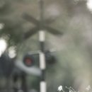 바람이 머무는 곳 이미지