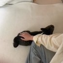 청하유미 | 의외로 다양한 걸 했던 6월 일기 🍀✨🍀✨